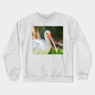 American white ibis of Blossom Trail Crewneck Sweatshirt